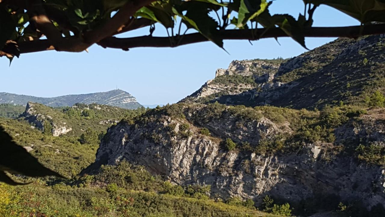 La Loubiere, Ancienne Bergerie En Pleine Garrigue Bed & Breakfast Fraisse-des-Corbieres Exterior photo